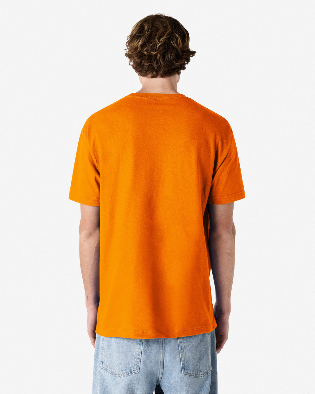 American Apparel Adult T-Shirt 2nd (10 Colour)-(1301)