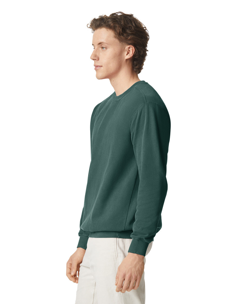 Comfort Colors Adult Crewneck Sweatshirt (1566)