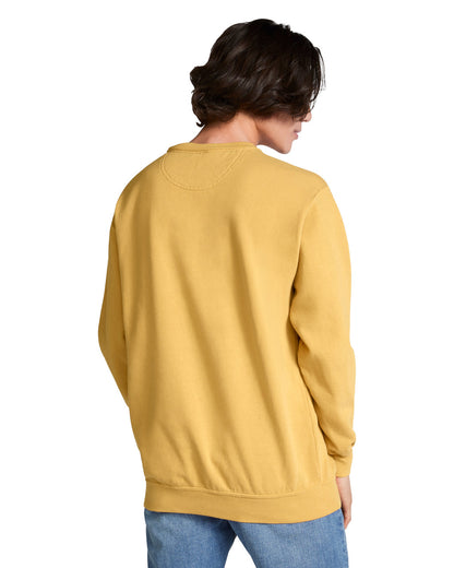 Comfort Colors Adult Crewneck Sweatshirt (1566)