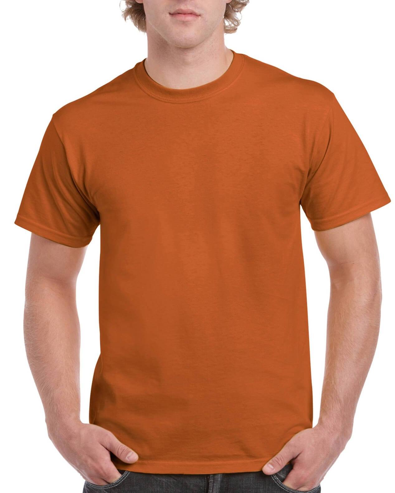 Gildan Ultra Cotton Adult T-Shirt (2000)