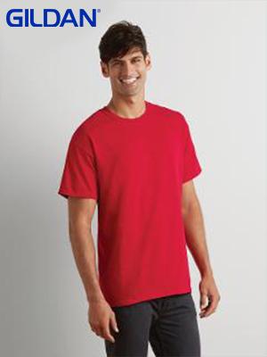 Gildan Ultra Cotton Adult T-Shirt (2000)